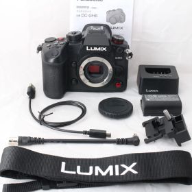☆美品・ショット数4995☆ Panasonic ミラーレス一眼カメラ ルミックス LUMIX GH6 ボディ DC-GH6 パナソニック #4742