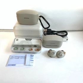 【SONY】WF-1000XM4 初音ミクコラボモデル ノイズキャンセリング