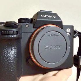 SONY α7Ⅲ + Sony Lens 28-70mm F3,5-5,6