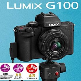 パナソニック(Panasonic)の【美品】LUMIX DC-G100V ミラーレス コンパクト一眼(ミラーレス一眼)