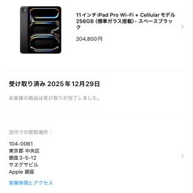 iPad Pro 11inch M5 256GB Cellular 3点セット