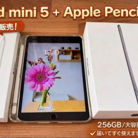 【フルセット】iPad mini 5 256GB Pencil付/美品