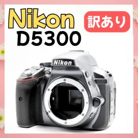 【訳あり】希少グレー Nikon D5300 デジタル一眼レフカメラ ボディ