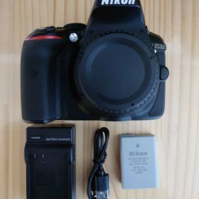 ★美品レベル★ Nikon ニコン D5300 シャッター数 約15296回