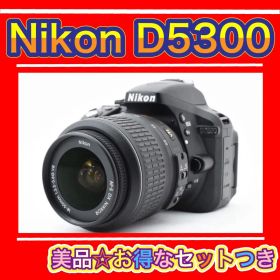 【美品】Nikon ニコン D5300 ✨Wi-Fi機能搭載✨お得なセット付き✨