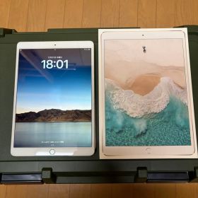 iPad Pro 10.5 インチ 256GB Wi-Fi+Cellular