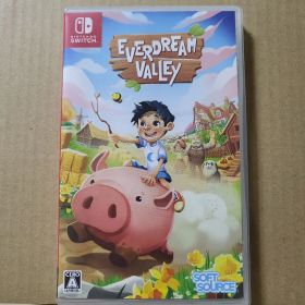 Switch エバードリーム・バレー【中古】