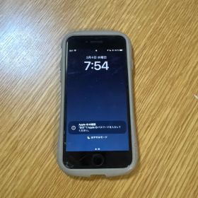 Apple iPhone SE（レッド) 本体