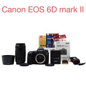キヤノン(Canon)の保証付/一眼レフカメラCanon EOS 6D mark II望 遠レンズセット(デジタル一眼)