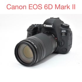 キヤノン(Canon)のCanon EOS 6D Mark II /Canon EF 75-300mm(デジタル一眼)