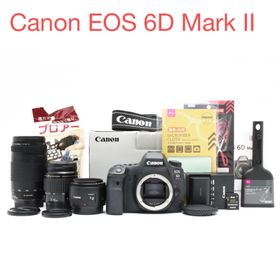 キヤノン(Canon)のCanon EOS 6D Mark II標準&望遠&単焦点トリプルレンズセッ(デジタル一眼)