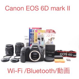 キヤノン(Canon)のWi-Fi /Bluetooth/動画/Canon EOS 6D mark II(デジタル一眼)