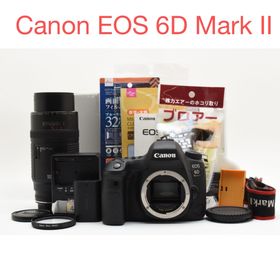 キヤノン(Canon)のCanon EOS 6D Mark II /Canon EF 100-300mm(デジタル一眼)
