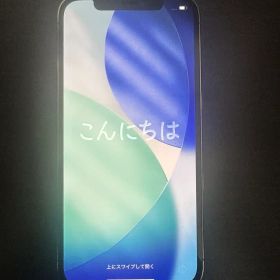 【美品】iPhone12 Pro 512GB ゴールド SIMフリー 動作確認済