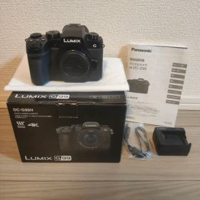 【美品/本体のみ】LUMIX DC-G99 ボディ