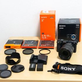 SONY α6500+SEL1655G APS-C/ミラーレス一眼/高画質ズーム