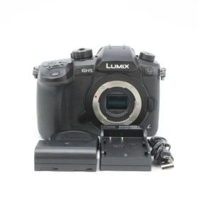 ショット数1,956！■ほぼ新品■ PANASONIC GH5 DC-GH5-K