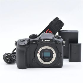 Panasonic パナソニック LUMIX DC-GH5-K ボディ ブラック ミラーレス一眼レフカメラ【中古】