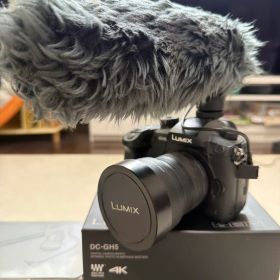 美品 LUMIX DC-GH5 ミラーレス一眼 カメラ 純正マイク 純正レンズ