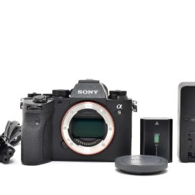 ■極上品■ ソニー α9M2 ILCE-9M2 #C663