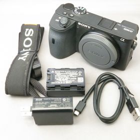 α6600 ILCE-6600 ソニー(ミラーレス一眼)