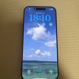 Apple iPhone 16 Pro MAX 本体