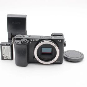 ショット数23923 【極美品】 SONY ソニー α6000 ボディ ILCE-6000 sony 100001