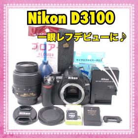 ✨一眼レフデビュー✨Nikon D3100 手ぶれ補正レンズ スマホ転送OK