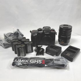 Panasonic LUMIX DC-GH5M2 + 12-60mmレンズセット