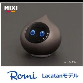 Romi Lacatanモデル ムーングレー