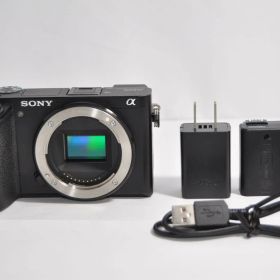 Sony ソニー α6500 ボディ ブラック