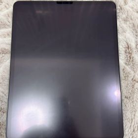 iPad pro 12.9 第4世代256GB Applepencil 第2世代