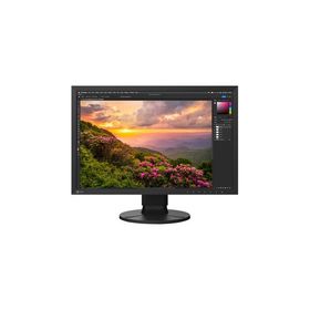 EIZO 液晶ディスプレイ 24.1型/1920×1200/ブラック CS2400S-BK