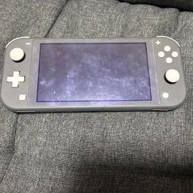 Switch Lite グレー