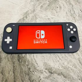 【感動品】Nintendo Switch lite グレー