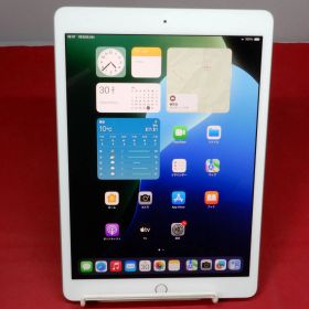APPLE iPad 10.2インチ 第7世代 Wi-Fi 128GB MW782J/A シルバー