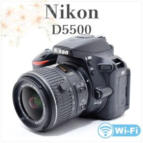 美品 元箱つき✨Nikon D5500✨手ブレ補正 標準ズームレンズ✨Wi-Fi