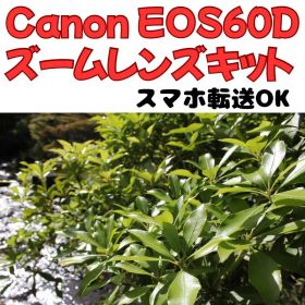 旅行や運動会に◎Canon EOS 60D＋USM標準レンズで瞬間を綺麗に捉える