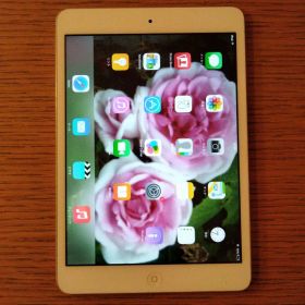 ipad mini 初代本体のみ