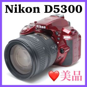❤️Wi-Fi機能搭載❤️Nikon D5300 ショット数960回 美品ニコン