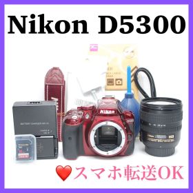 ❤️ショット数960回❤️Nikon D5300 ニコン 希少品 美品 おすすめ