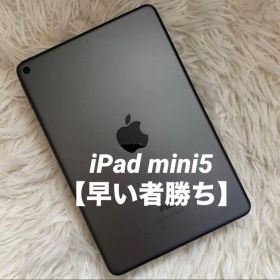 【完動品】iPad mini5 64GB Wi-Fi 【すぐ発送】