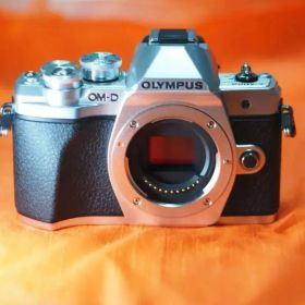 OLYMPUS OM-D E-M10 Mark III シャッター数2216