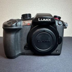 Panasonic LUMIX DC-GH5S