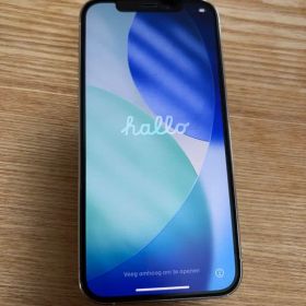 Apple iPhone 12Pro シルバー 本体