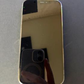 iPhone12Pro 256GB 本体