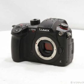 ソフマップ 〔中古品〕 DC-GH5S ボディ【262】