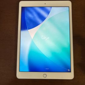 Apple iPad ８世代 10.2インチ シルバー 本体