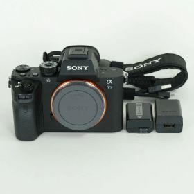 [美品 | シャッター数1,813回] SONY α7S II（ILCE-7SM2） | SONY Eマウント
