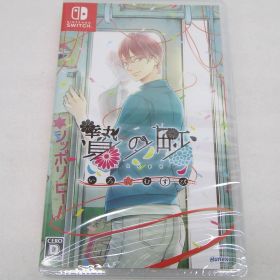 贄の町 いろむすび Switchソフト 未開封品